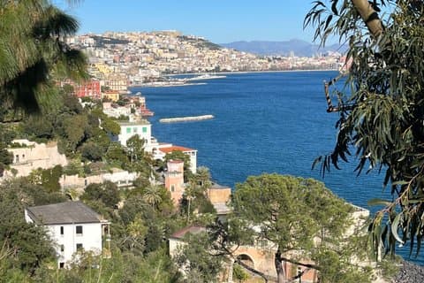 Campi Flegrei tour from Naples between nature and history
