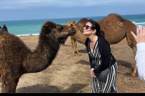 Private Day Trip VIP Tour to Tangier from Tarifa or Algeciras