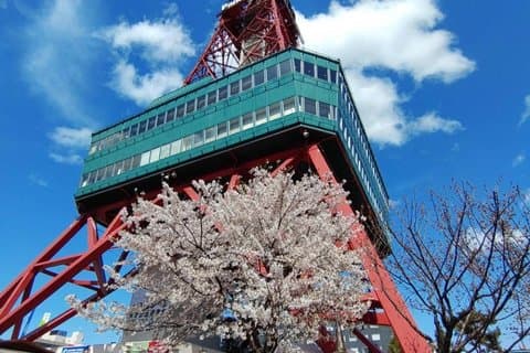 Sapporo Full Day Cultural Tour with National Licensed Guide