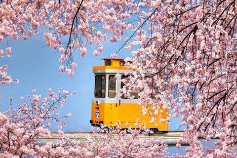 Busan Top Coastal Highlights with Gamcheon Village & Sky Capsule