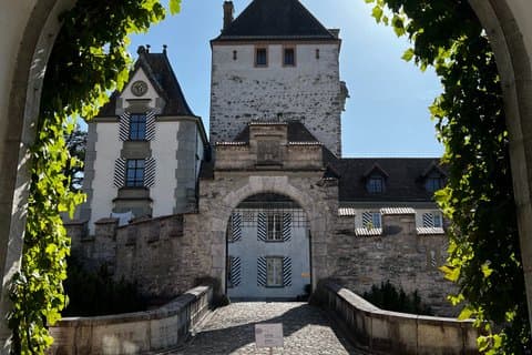 Interlaken Lake Thun Three Castles Tour with Entry Tickets