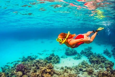 Private Snorkeling Tour and Beach Day