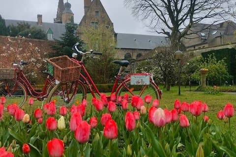 Bruges Sunset Retro Bike Tour: Family Sculptures & Hidden Art