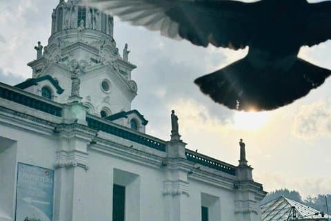 Quito Old Town Free Walking tour Cacao taste included Small group
