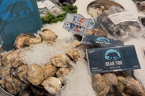 Bear Tide Oyster Tasting Cruise in Plymouth MA