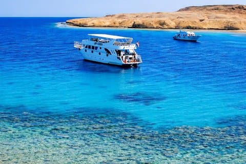 Marsa Alam Snorkeling Trip With Dugong And Turtles Marsa Mubarak