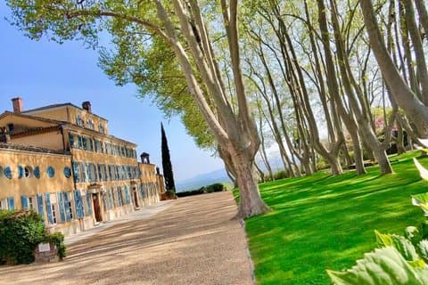 Provence Wine Tour from Cannes Cruise Port- Private § tailor-made
