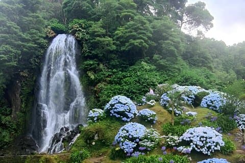 Nordeste District, East Coast, Povoação Full Day Private Tour