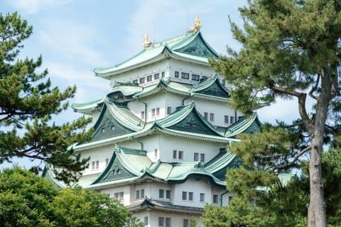 Nagoya Shore Excursion: Nagoya Castle & Cultural Highlights