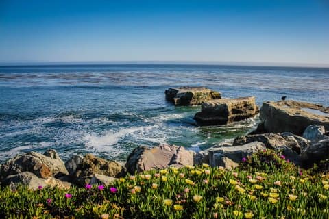 From San Jose Private 17 Mile Drive, Big Sur and Carmel Tour