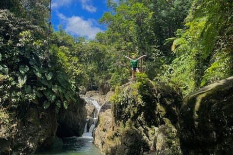 El Yunque Tour with Luquillo Lunch Stop and Transport: 6 ppl Max