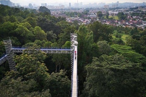 Batu Caves Skywalk and Waterfalls Adventure