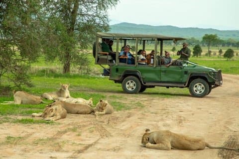 5 Days 4 Night Serengeti National Park 4WD Tour Adventure