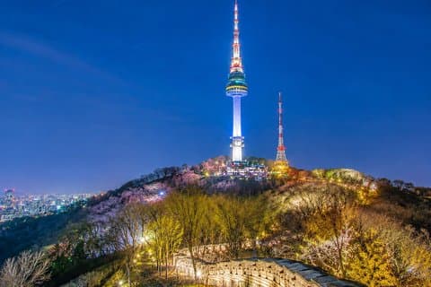 Seoul Private Night Tour: Palace, Hanok Street& N Seoul Tower