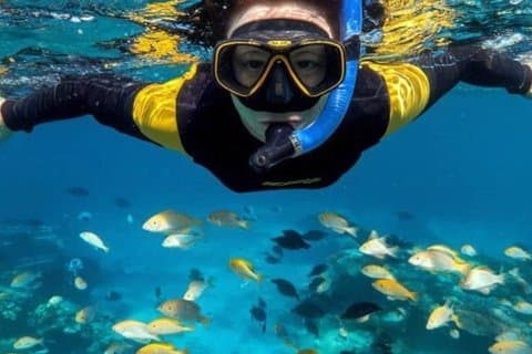 Swim with Dolphin and Snorkeling Adventure at Mnemba Island
