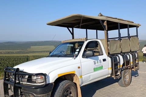 Addo Elephant National Park Full Day Safari