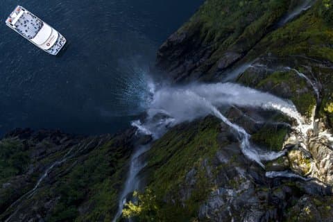 Milford Sound Premium Coach & Cruise from Queenstown with Lunch