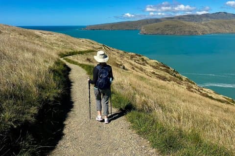 Private Half-Day Godley Head Coastal Hike from Christchurch
