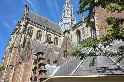 Haarlem Highlights: Windmills, Masters & Hidden Stories