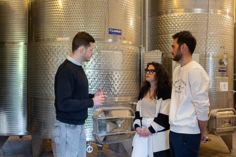 Discover Langhe wines with private tour and expert sommelier
