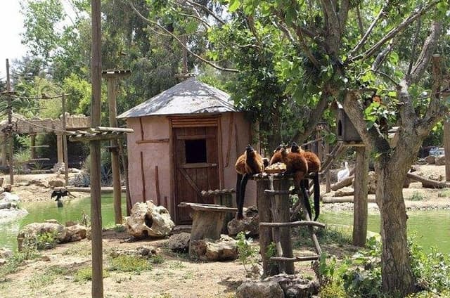 Lagos Zoo Admission Ticket
