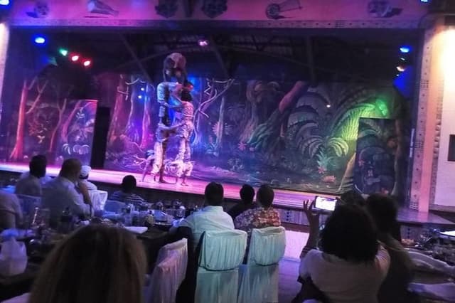 Safari Cat Dancers Show And Dinner