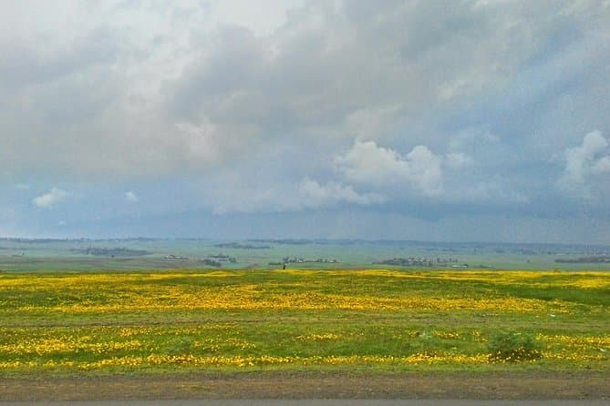 Unforgettable Rift Valley Lakes Adventures from Addis Ababa