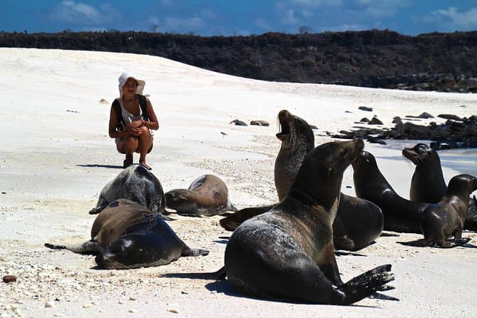 Santa Cruz Galapagos Tour: Wildlife & Snorkeling