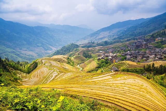 Longji Rice Terraces and Minority Village Day Tour