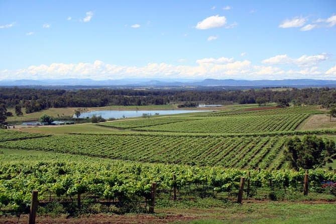 Sydney to Hunter Valley Wine Tour: Book Your Tastings
