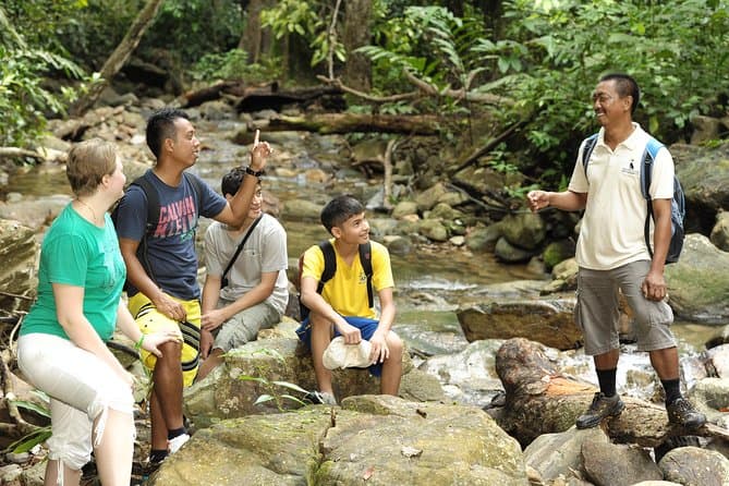 Langkawi Jungle Trek: Ultimate Tropical Rainforest Adventure