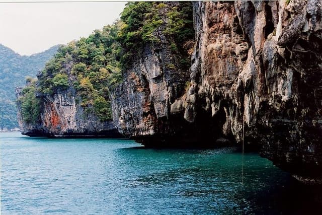 JungleWalla Langkawi UNESCO Geopark Mangrove Cruise