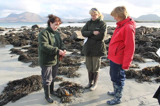 Connemara National Park, Beach & Blanket Bog ecology walk. Private Full-day