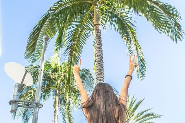 LA Tour: Downtown, Hollywood, Rodeo Drive, Farmer's Market