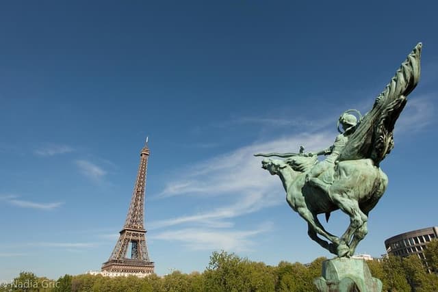 Paris Essential 6h Private Tour