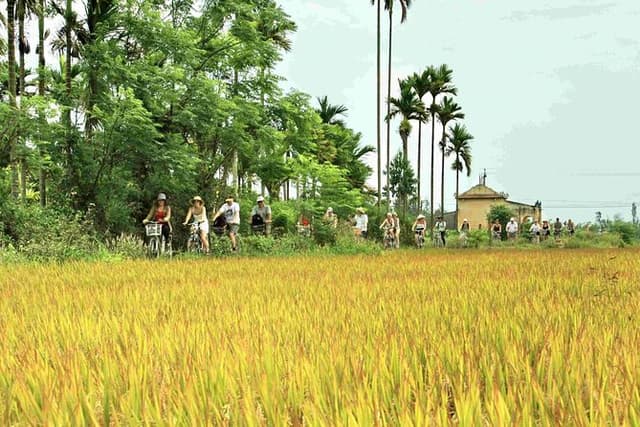 Hoi An Countryside bike tour to Kim Bong village