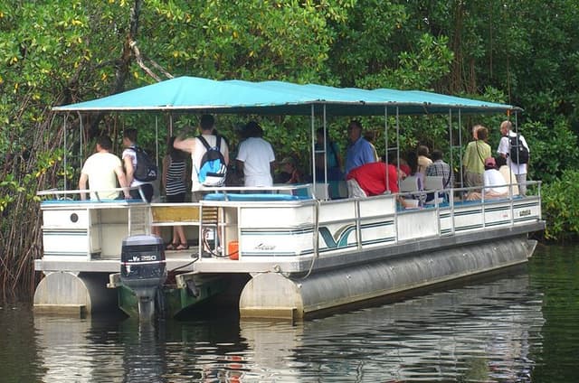 Private YS Falls and Black River Safari from Negril