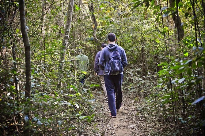Cantareira Forest: Nature & Adventure in SP