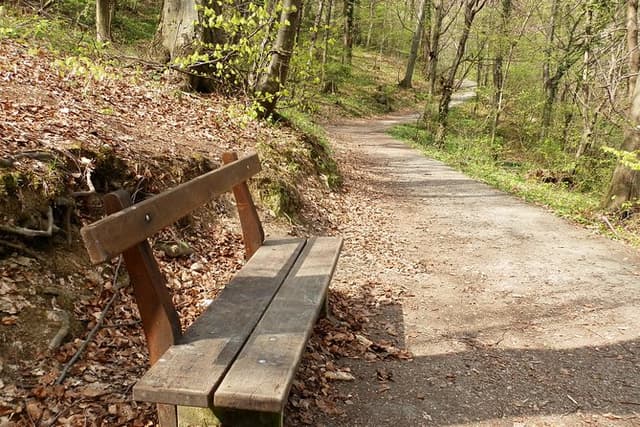 Zagreb Classic Mountaineer Walking Tour on Medvednica