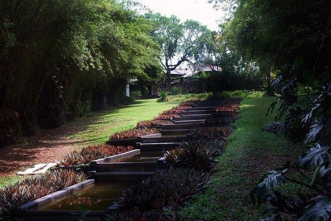 Bentota to Negombo Day Trip from Negombo