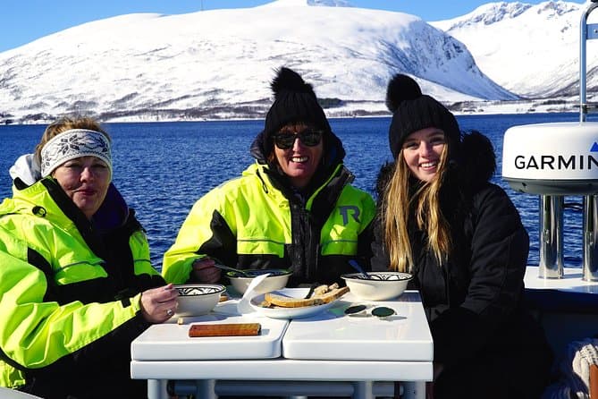 Best Arctic Fjord Cruise Tours in Tromso