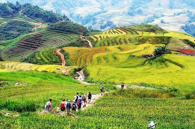 The Best Sapa Tour 2D1N At 3 Star Hotel by sleeping BUS TRANSFER