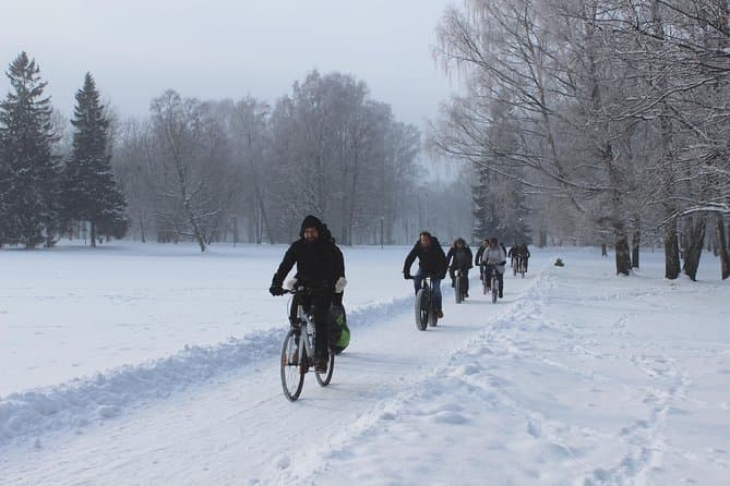 Explore Tallinn on Two Wheels: Best Guided Bike Tours