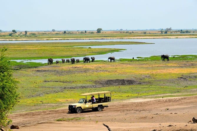 Best Chobe National Park Safari & Wildlife Tours in Kasane