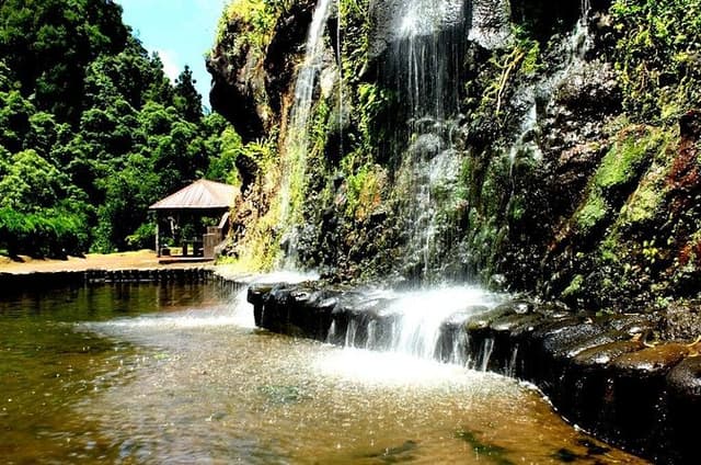 Private Full-Day 4x4 Tour to Nordeste & Povoaçao