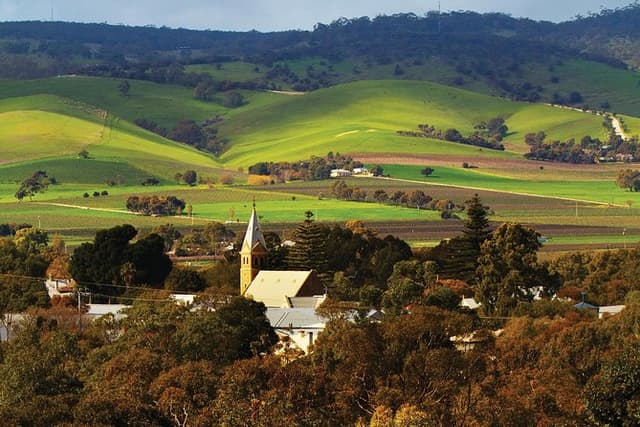 Barossa Valley Hop-On Hop-Off Wine Tour