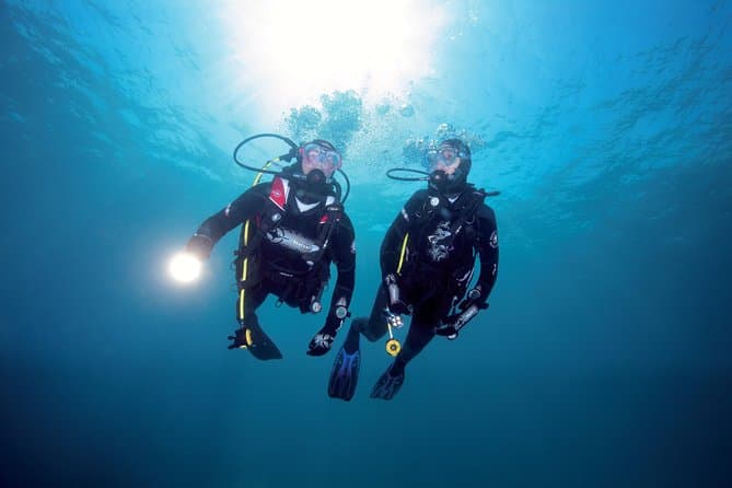 Compare Top Advanced Diving Courses in Auckland