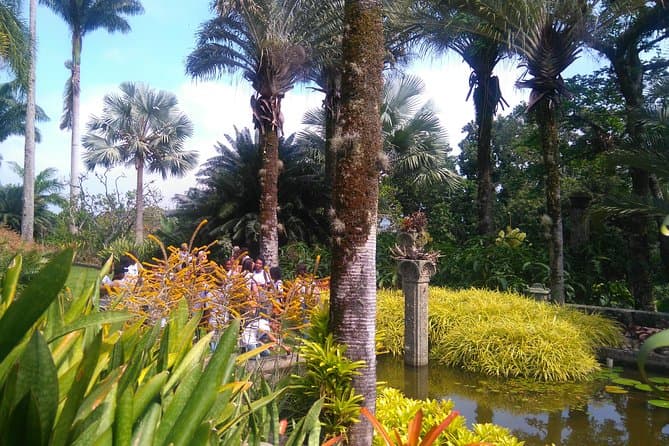 Burle Marx Site Day Tour: Rio Art & Nature