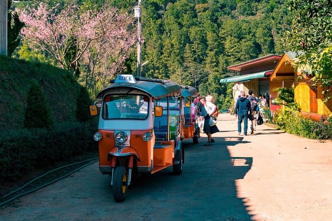 Chiang Mai Tuk Tuk Tours & City Adventures
