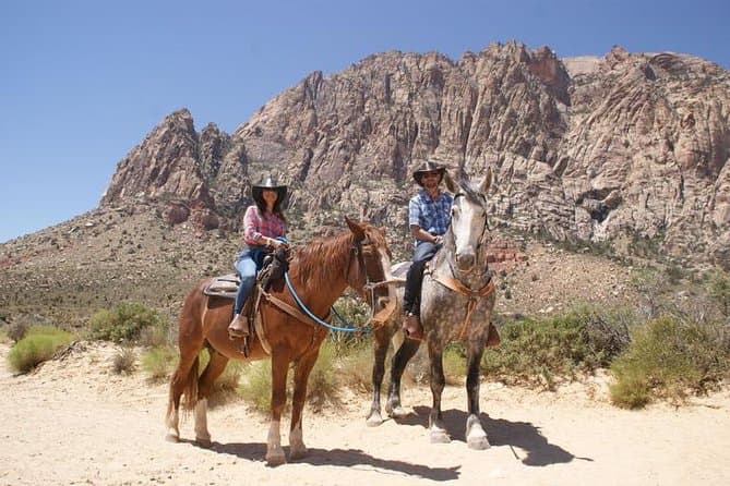 Unforgettable Desert Adventures: Las Vegas Horseback Riding
